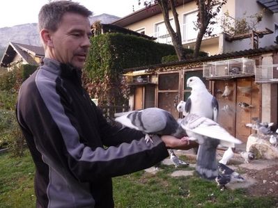 Cliquer pour voir l'image en taille réelle