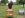 hinsbourg_04